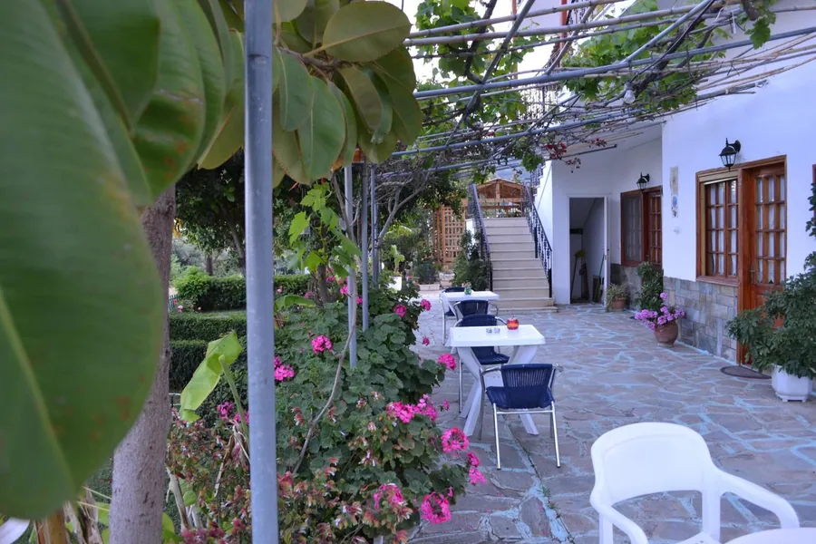 Η αυλή με την κληματαριά και τα λουλούδια